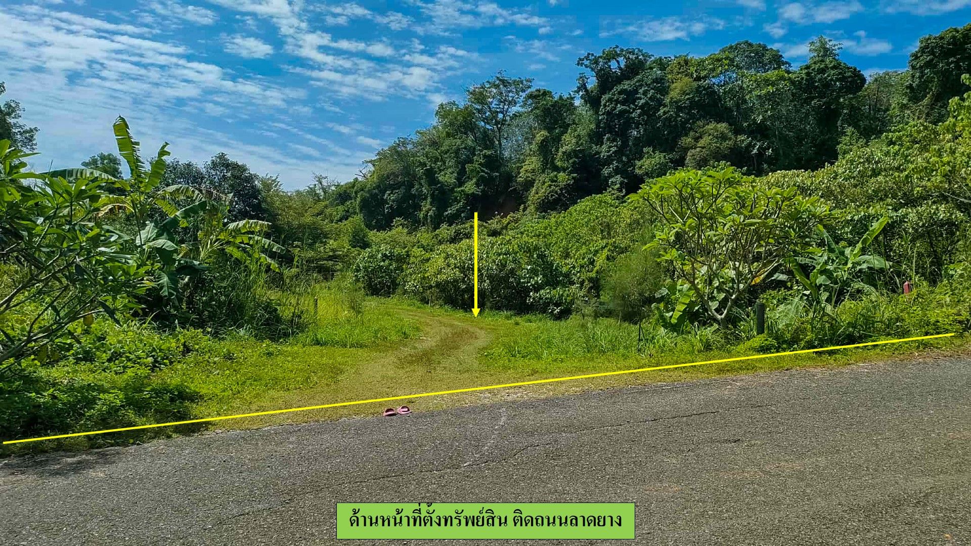ขายที่ดิน บ้านบางโรง เนื้อที่เริ่มต้น 1 ไร่ วิวเขาพระแทว ท่ามกลางธรรมชาติ ใกล้น้ำตกบางแป