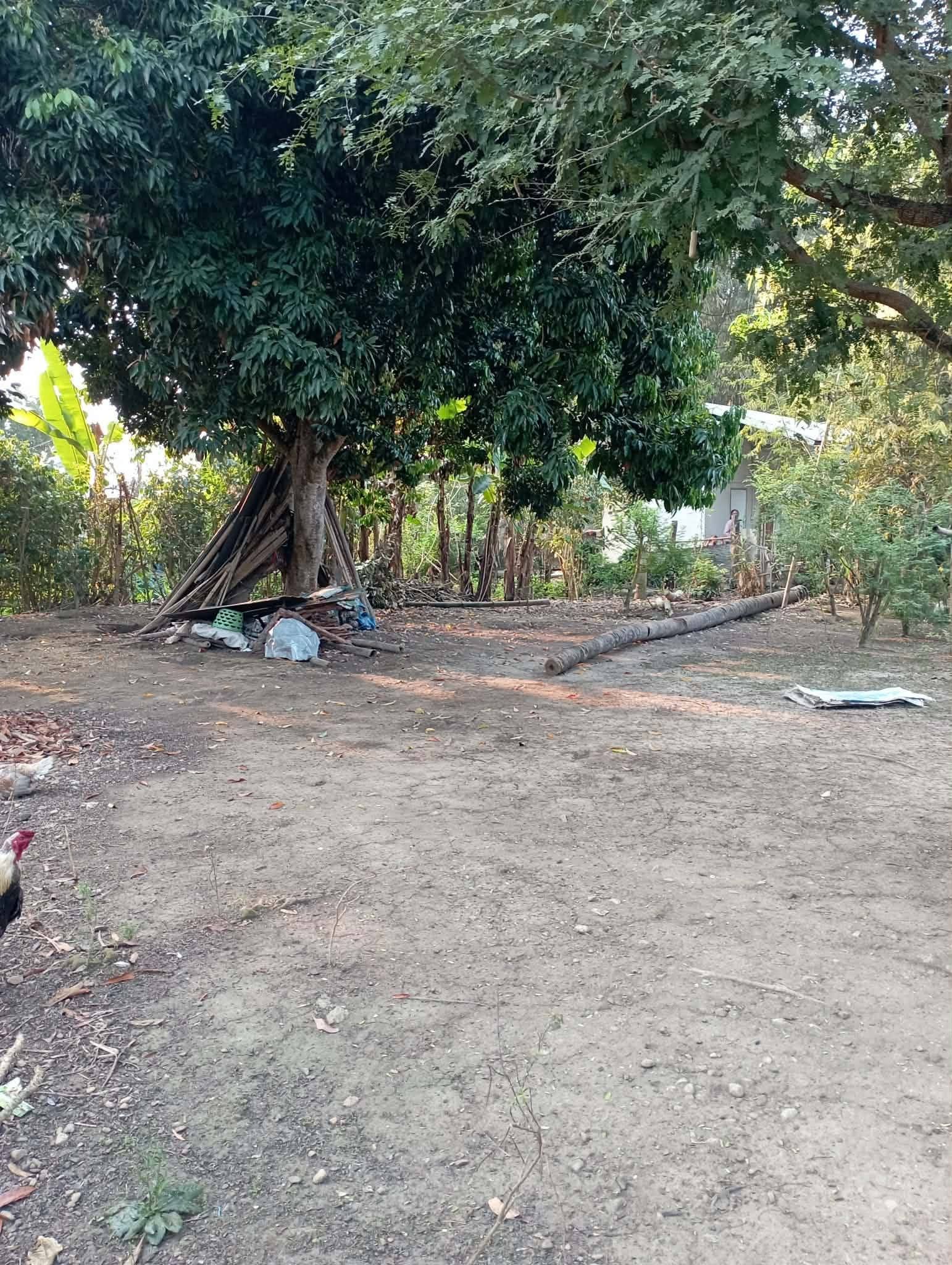 ขายที่ดินสำหรับสร้างบ้าน ติดลำน้ำ
