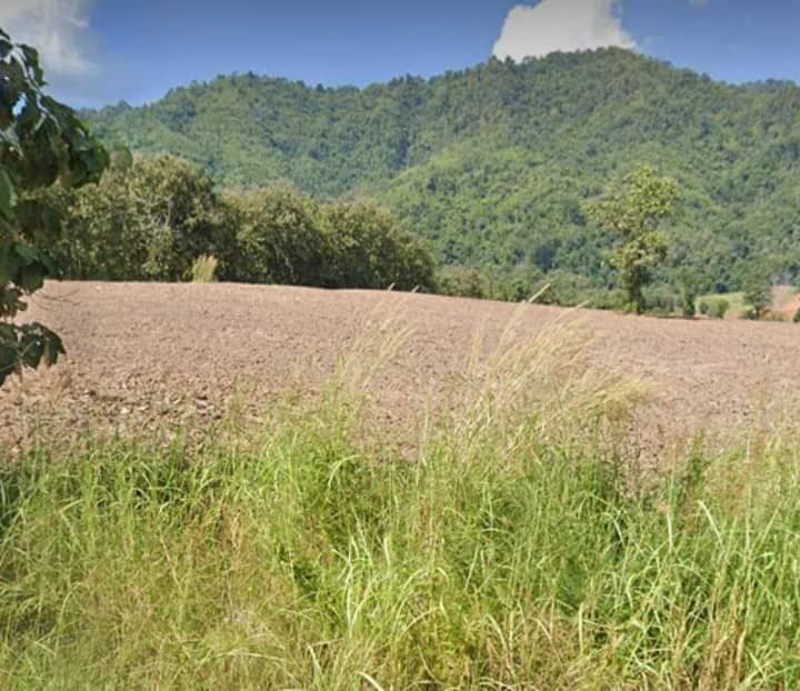  ที่ดินแปลงสวยน้ำปาด อุตรดิตถ์ 17-1-32