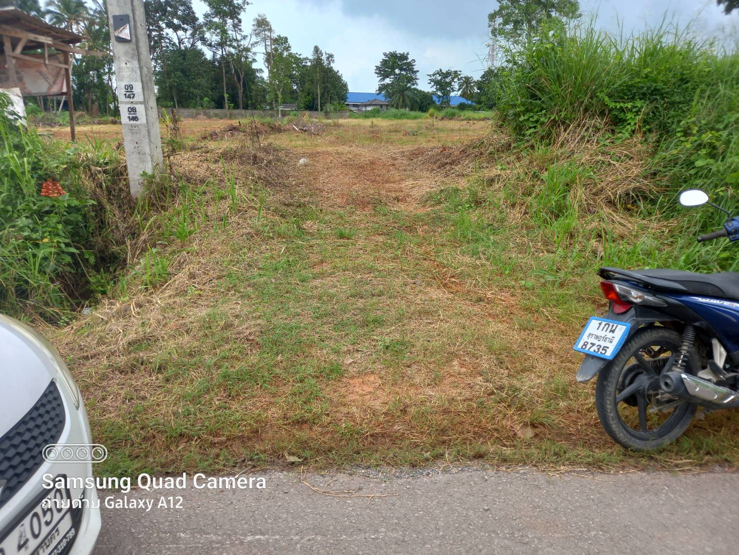 ขายที่ดิน สุราษฎร์ธานี 7-0-87.9 ไร่