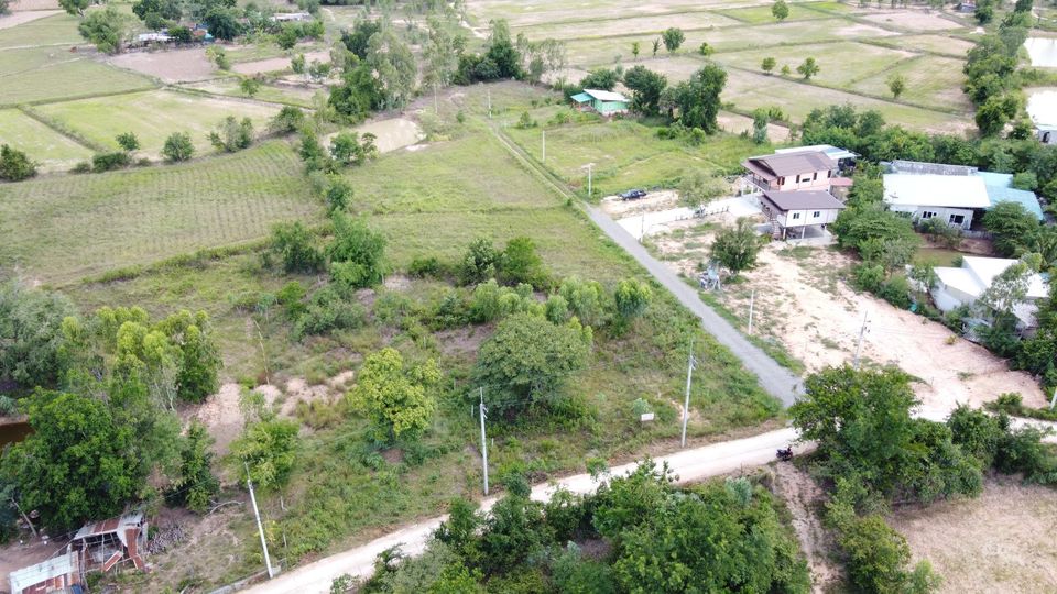 ที่ดินไกล้ถนนคนเดิน/โรบินสัน อ.เมืองชัยภูมิ 120 ตรว.