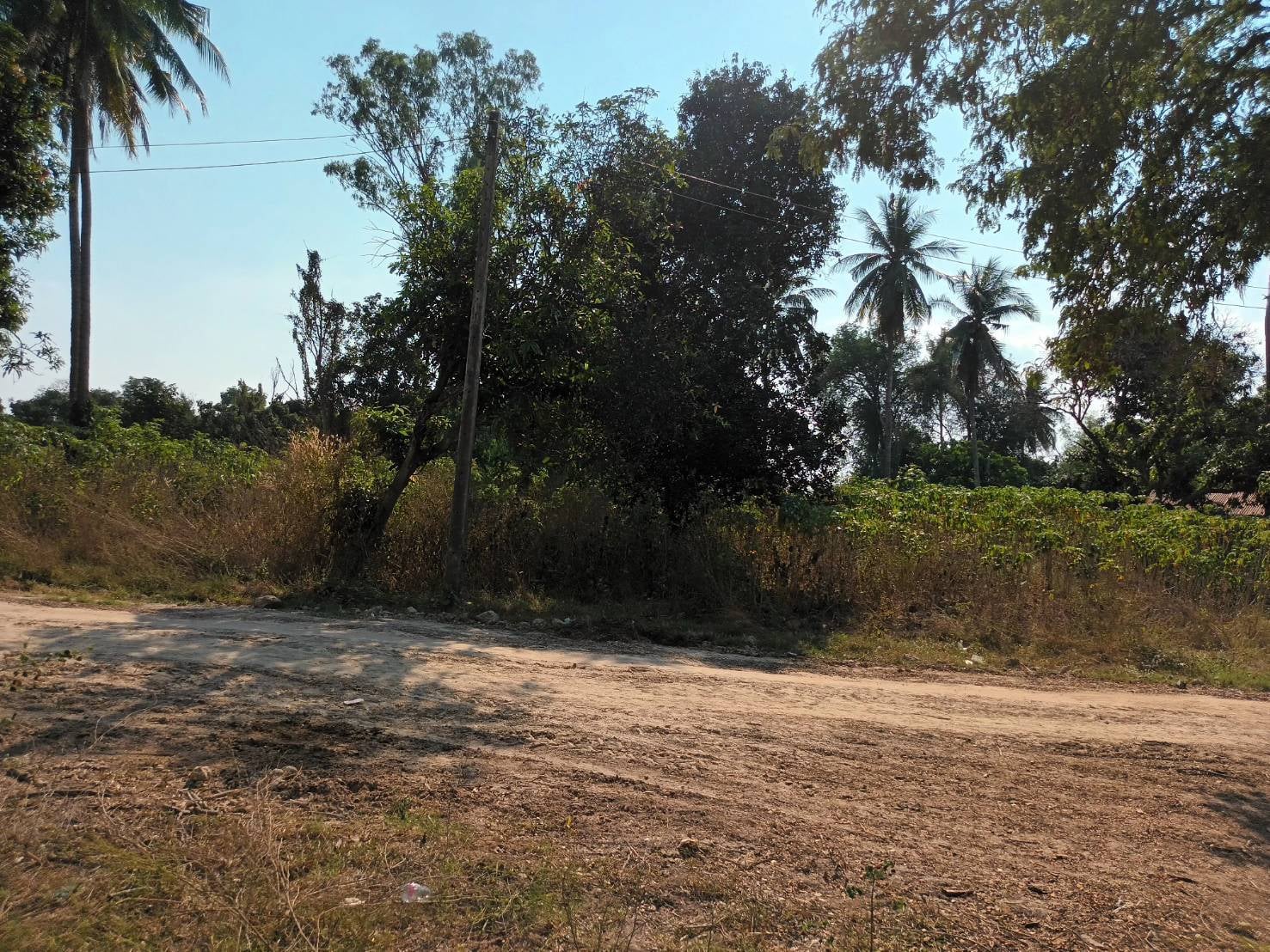 ที่ดิน เพื่อทำการเกษตร อ.ลาดยาว จ.นครสวรรค์ 2-0-71 ตร.ว. 