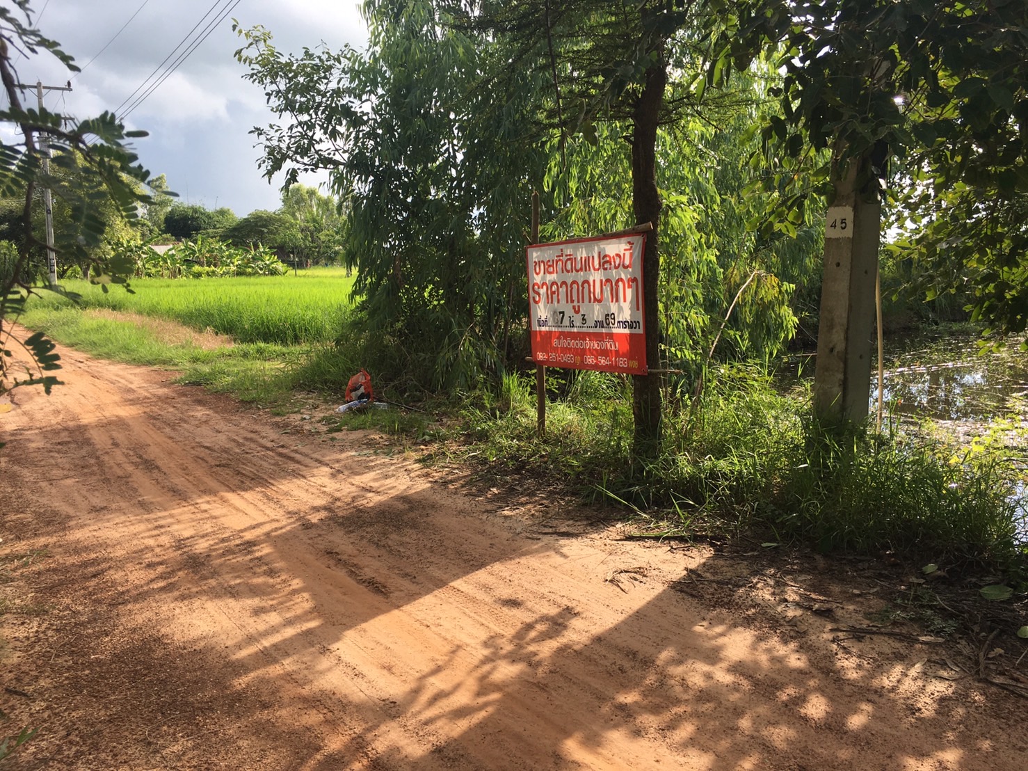 ขายที่ดินร้อยเอ็ด เสลภูมิ 7-3-69
