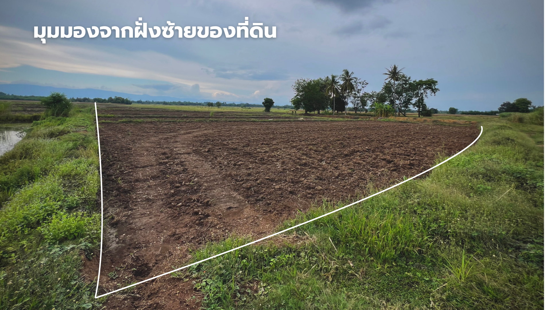 🌿 ขายด่วนที่ดินนาป่าทำเลทอง 13 ไร่ วิวสวย ราคาดี มีราคาพิเศษ 🌿