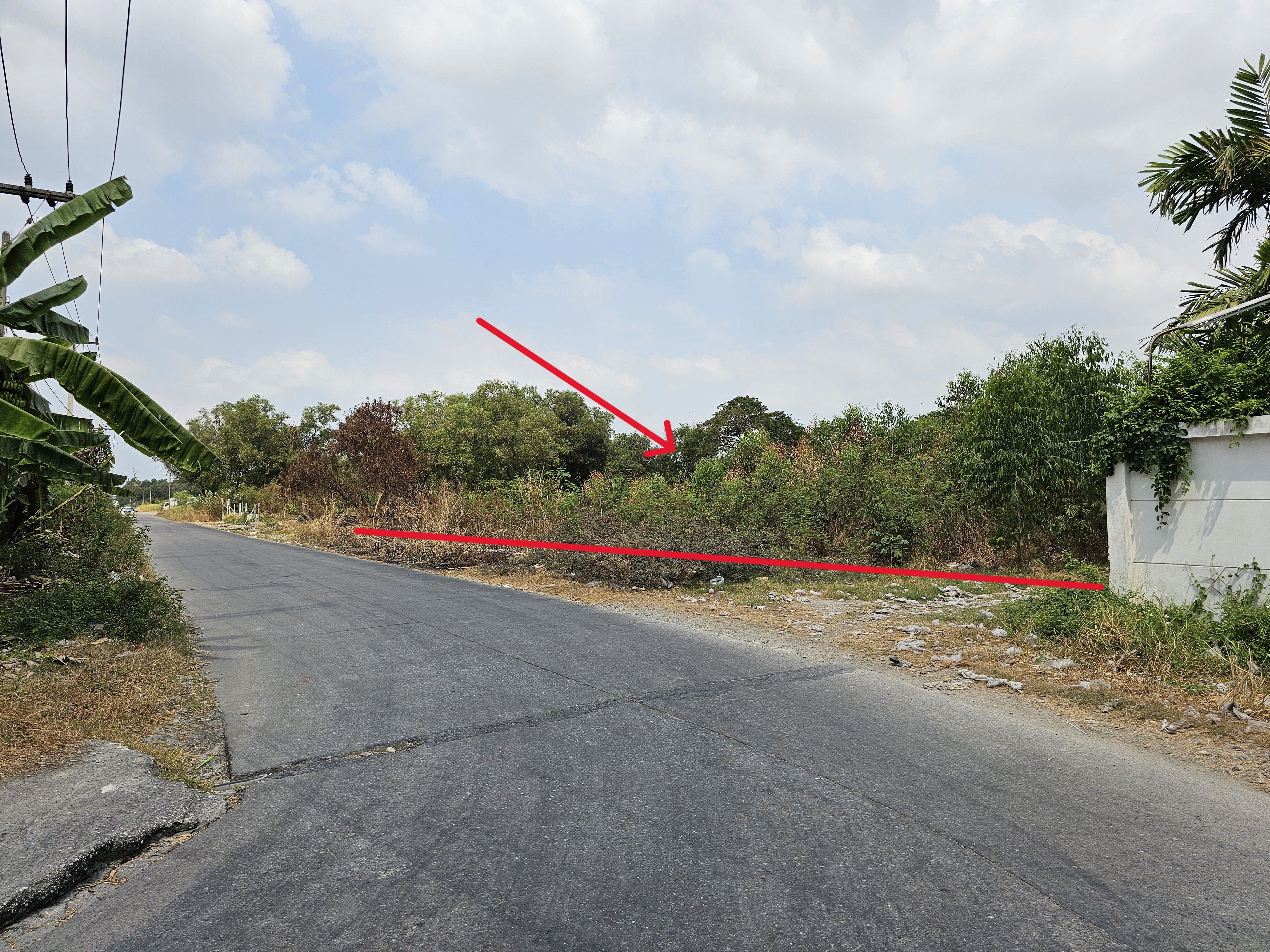 ขายที่ดิน โครงการ นานาการ์เด้น ตำบลหลักหก  อำเภอเมืองปทุมธานี 