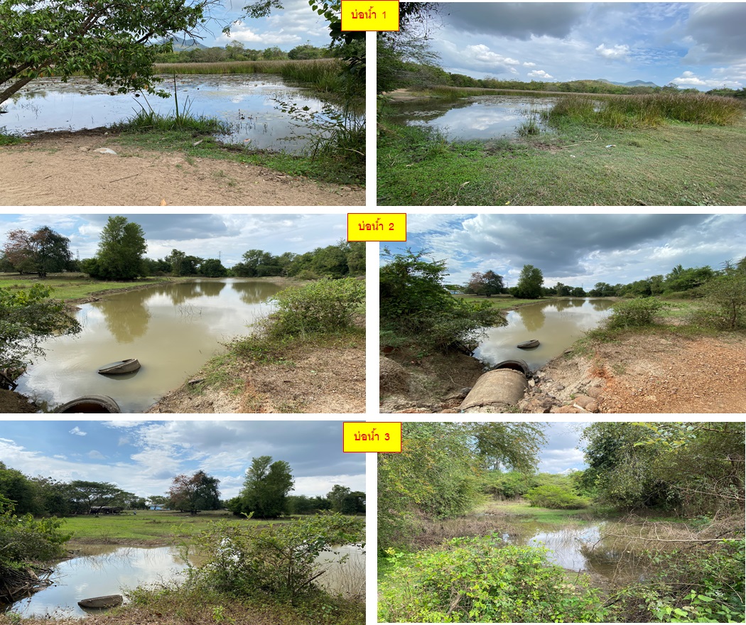ขายที่ดิน อำเภอท่ายาง เพชรบุรี 156-2-33.5 ไร่