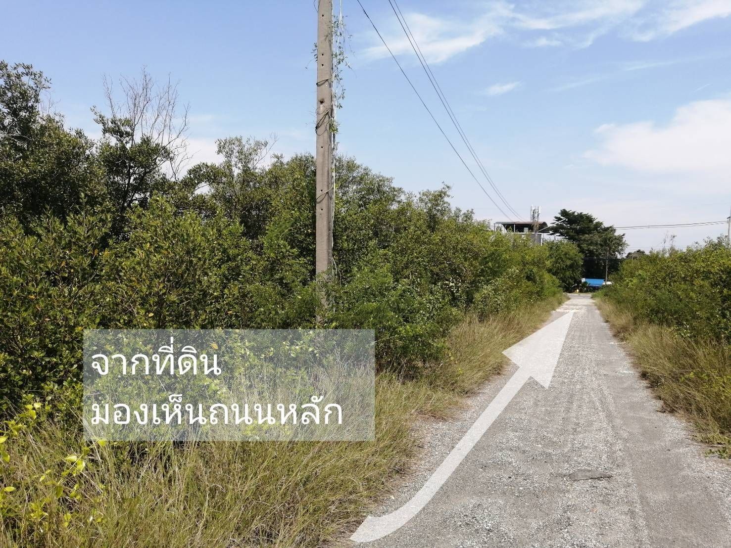 ขายที่ดินใกล้ชายหาดบางแสน