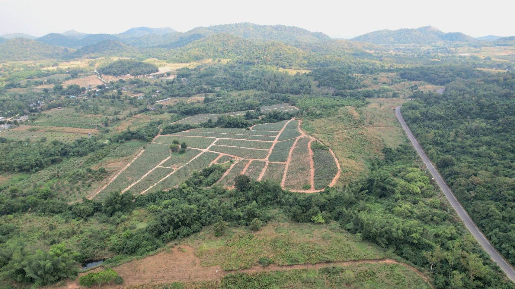 ขายที่ดินเพชรบุรี ที่น.ส.3 บรรยากาศดี ทำเลดี เหมาะลงทุน ที่แปลงใหญ่ 84 ไร่.