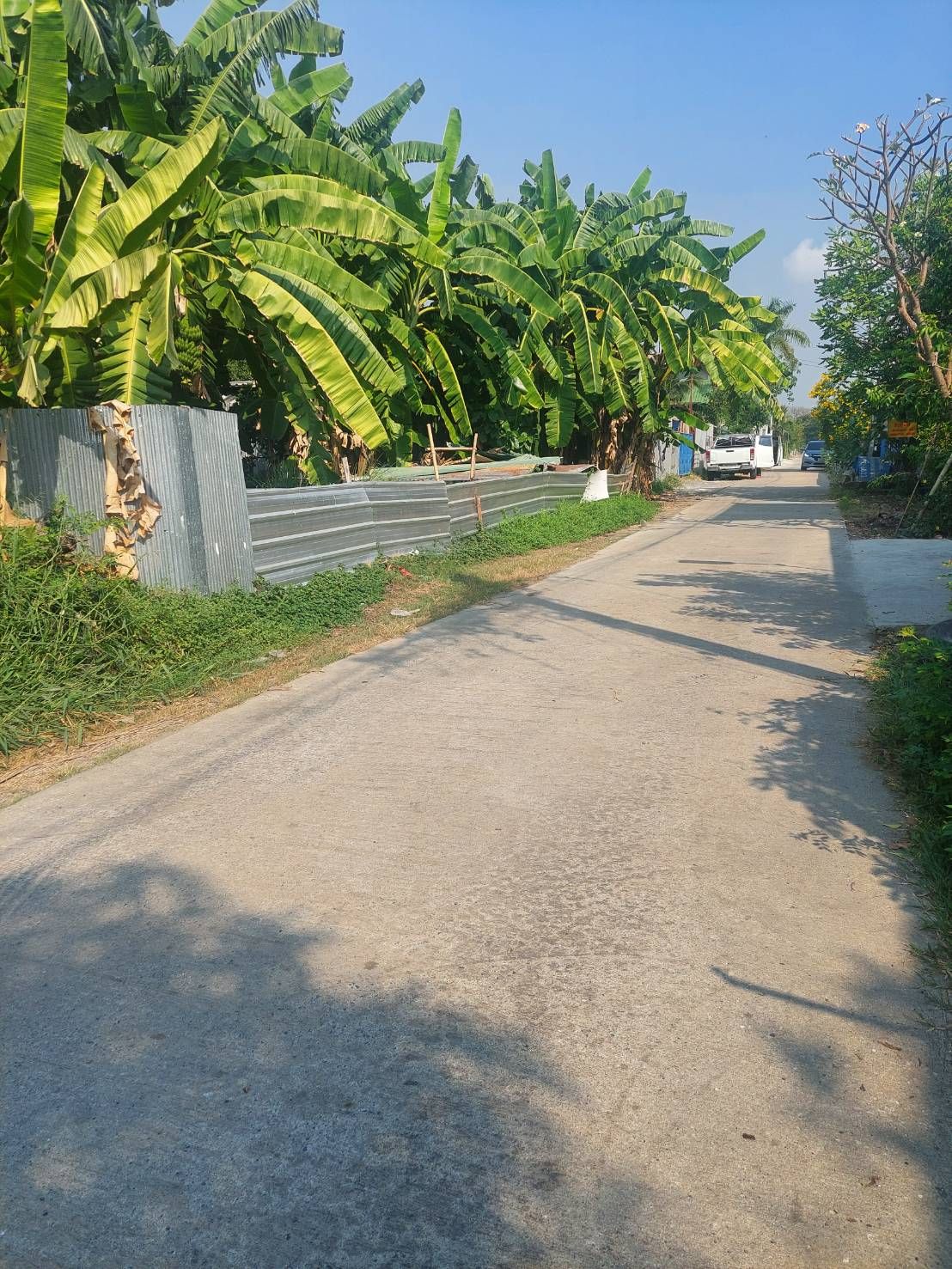 ขายที่ดิน ซอยสายไหม 47 ถ.สายไหม เข้าซอย 20 เมตร ติดบิ๊กซีสายไหม ติดหมู่บ้านพฤกษาวิลล์
