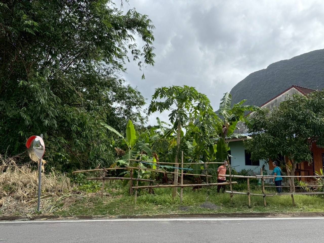 ขายที่ดินพังงา อำเภอเมือง ที่ดินเปล่า