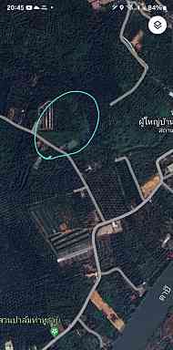ขายที่ดิน สุราษฎร์ธานี 5-0-48.5 ไร่