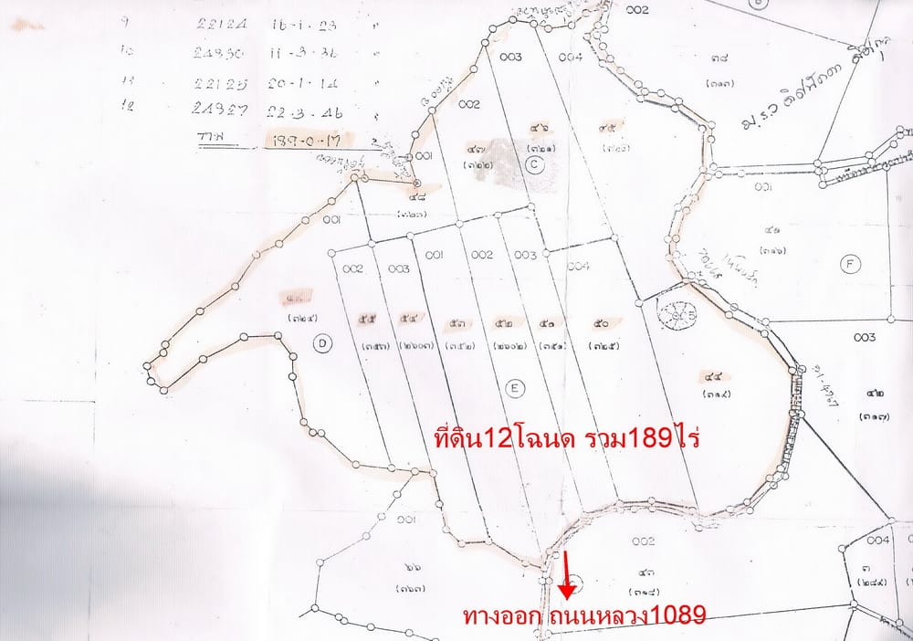 ขายที่ดิน โฉนดครุฑแดง189ไร่ แม่จัน เชียงราย