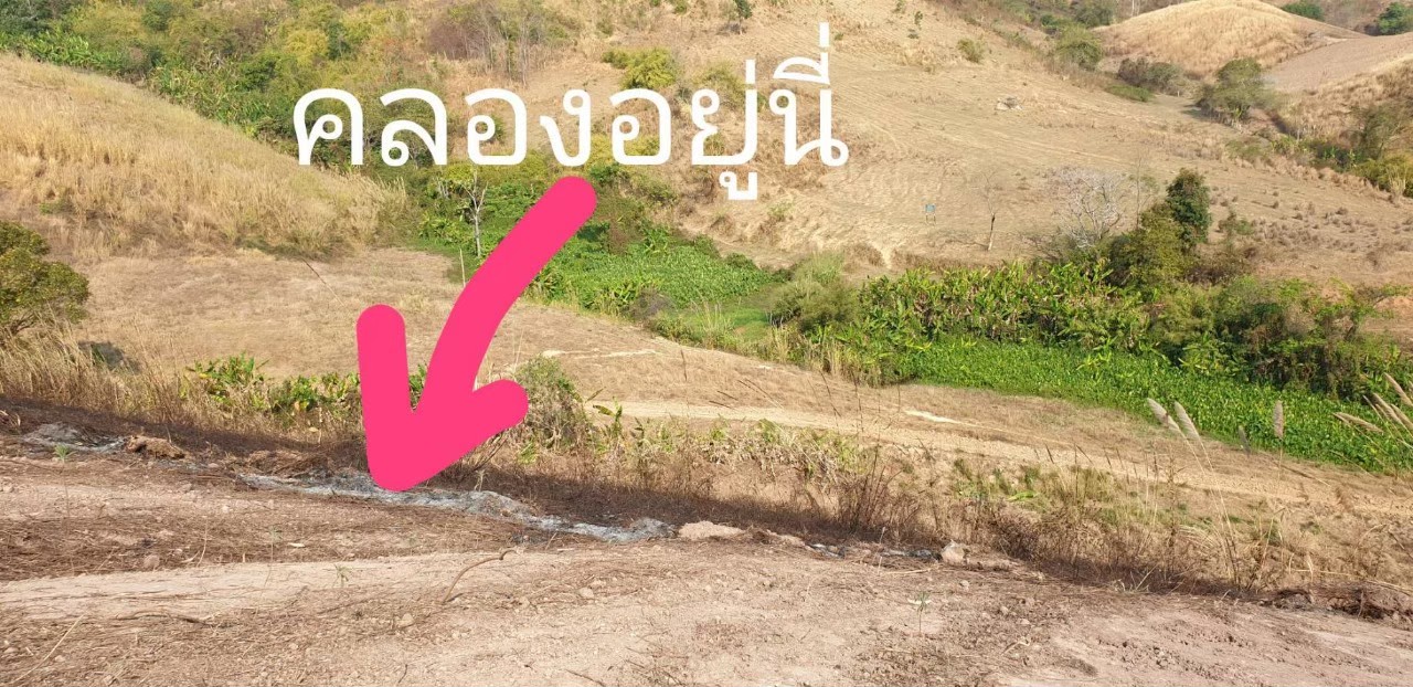 ขายที่ดินเพชรบูรณ์ เขาค้อ 8-3-29 ตารางวา