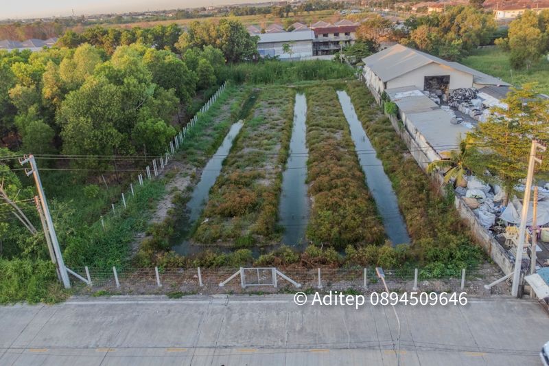 ขายที่ดินซอยบงกช 59 คลองสอง ปทุมธานี ขนาด 2 ไร่ ติดถนนคอนกรีต ทำเลดี เข้าถึงถนนพหลโยธิน และถนนรังสิต-นครนายก เหมาะสำหรับพัฒนาเป็น โกดัง คลังสินค้า หรือที่อยู่อาศัย