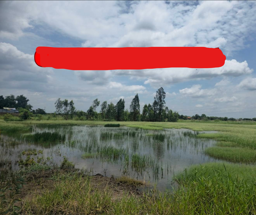 ขายถูกที่ดิน 23 ไร่ อยุธยา บางปะอิน ติดถนนสายเอเชีย ขาเข้ากรุงเทพฯ