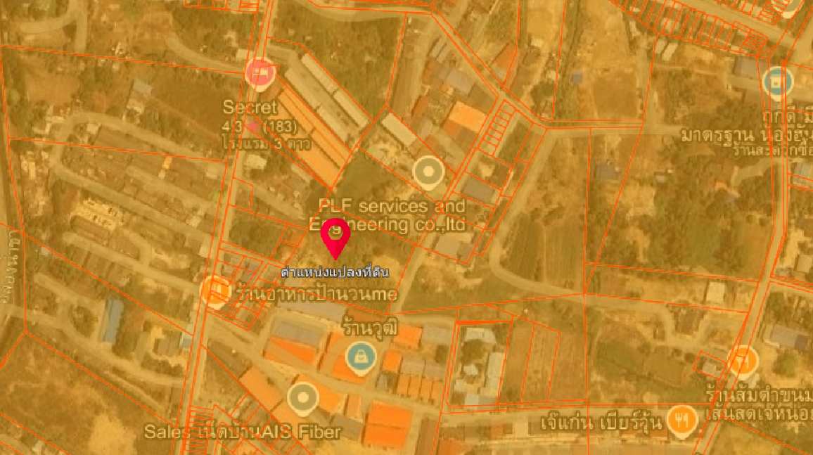 ที่ดินเมืองระยอง 4 ไร่ 1 งาน  