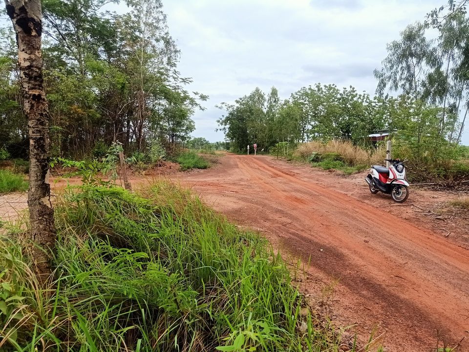 ที่นาที่ไร่จำนวน 17 ไร่เศษ ราคาภูก 17-1-64 ไร่