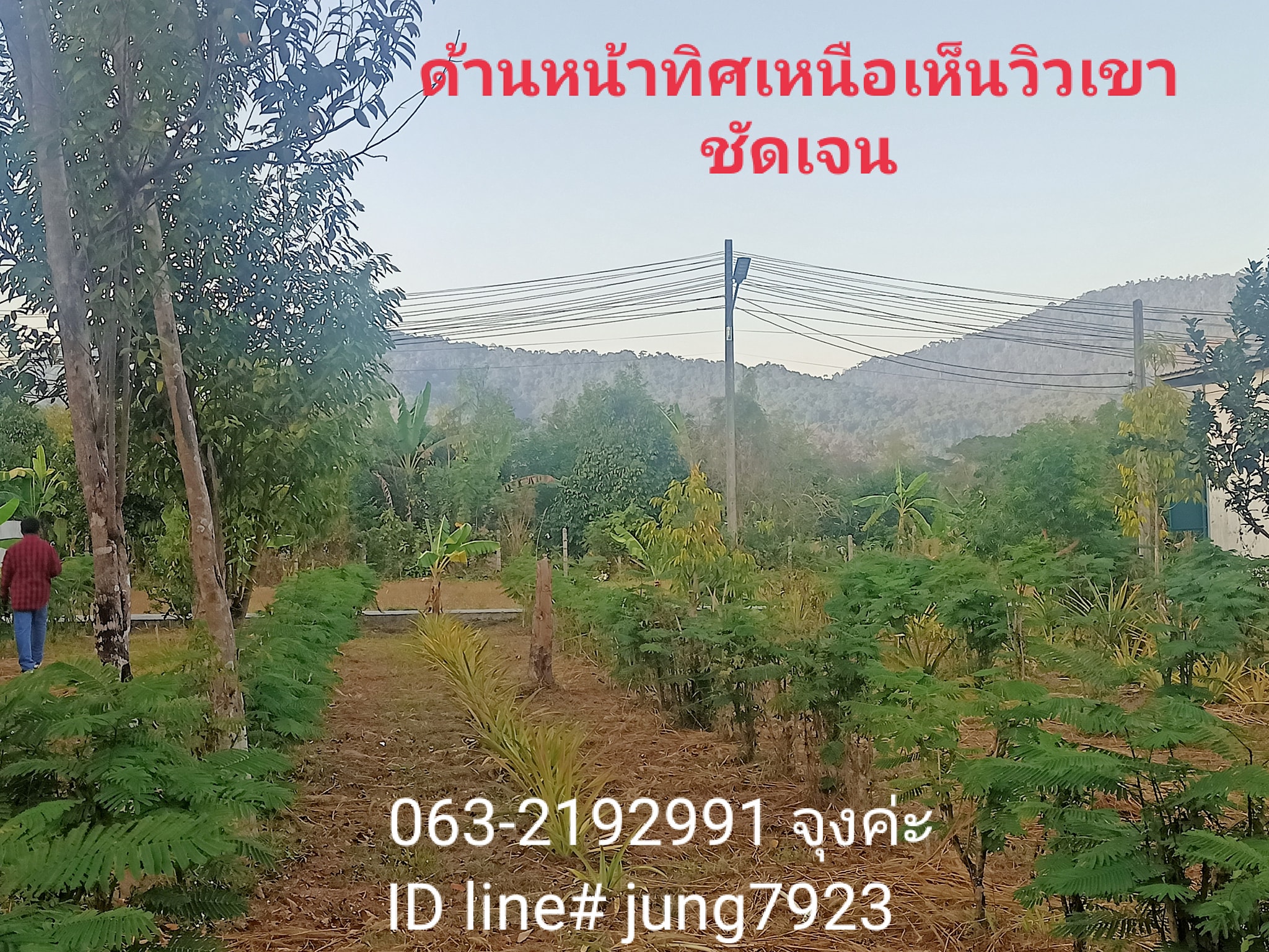 ที่สวนวิวเขาชัดเจนใกล้สนามกอล์ฟ  1 ไร่ นครนายก