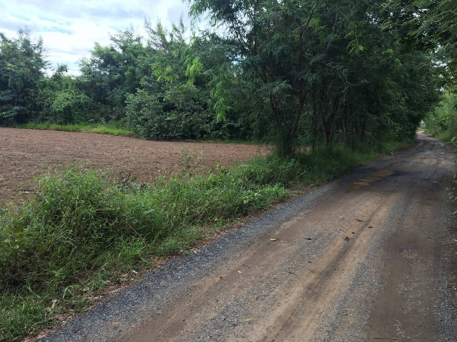 ขายที่ดินอุบลราชธานี จ.อุบลราชธานี อ.เขื่องใน 11-0-10 ไร่