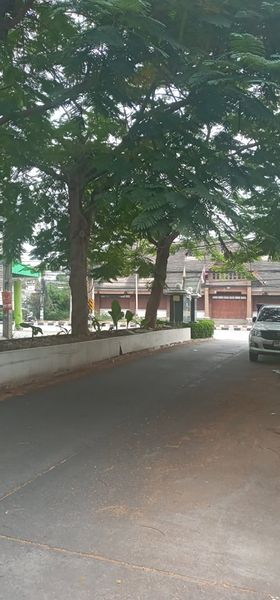 อาคารพาณิชย์ เมืองเชียงใหม่