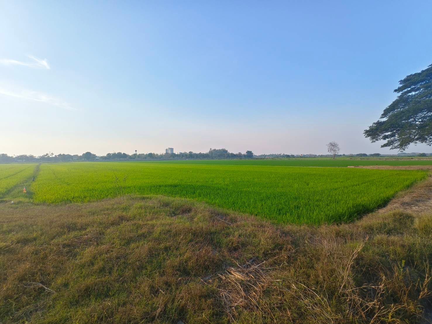 ขายที่ดินสุพรรณบุรี อำเภอเมือง เขตเทศบาลท่าระหัด