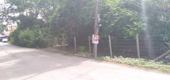 ที่ดินเปล่าสารภี 1-1-63
