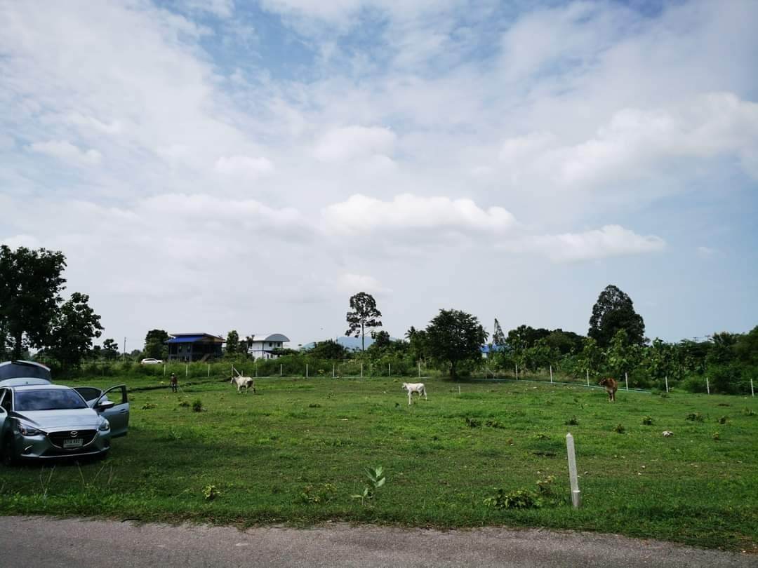 ขายที่ดินราชบุรี จ.ราชบุรี อ.บ้านโป่ง 0-1-66.3 