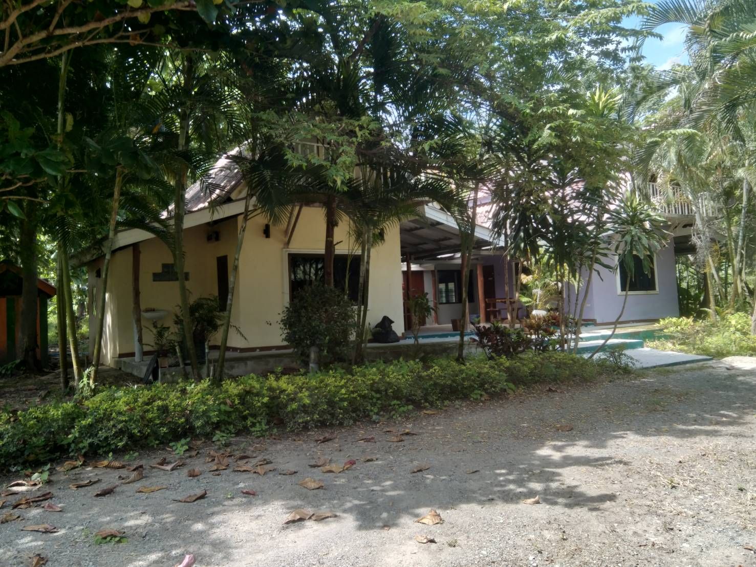 ขายรีสอร์ทท่ามกลางธรรมชาติ ตำบลแม่แรม อำเภอแม่ริม เชียงใหม่