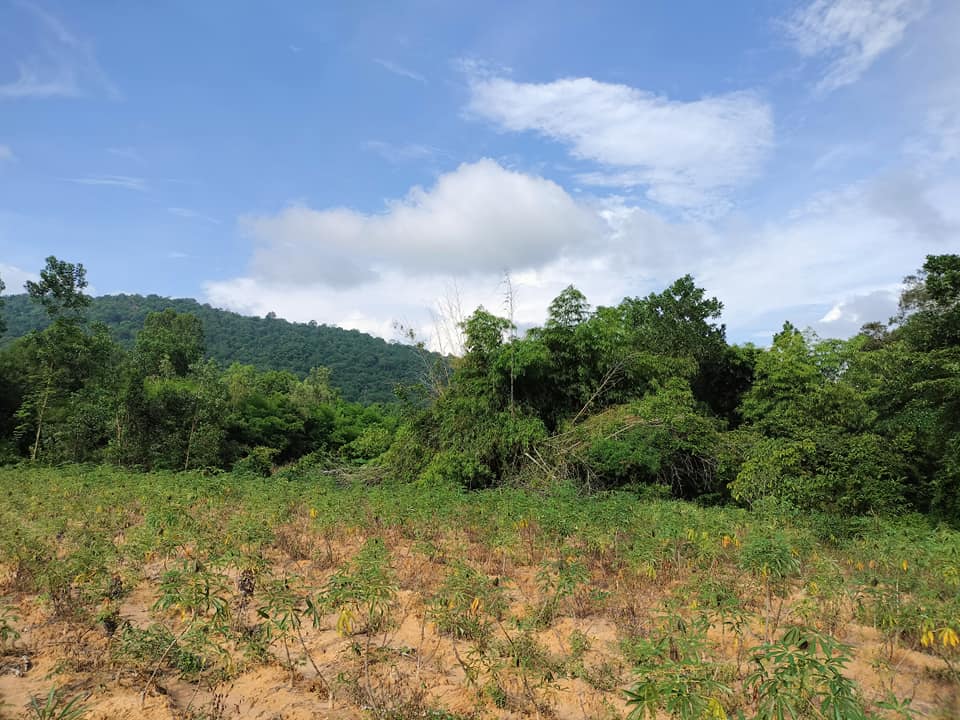 ที่ดินยกแปลงวิวเขา ติดเขาใหญ่เป็นที่สูง ปราจีนบุรี 6-3-30.4