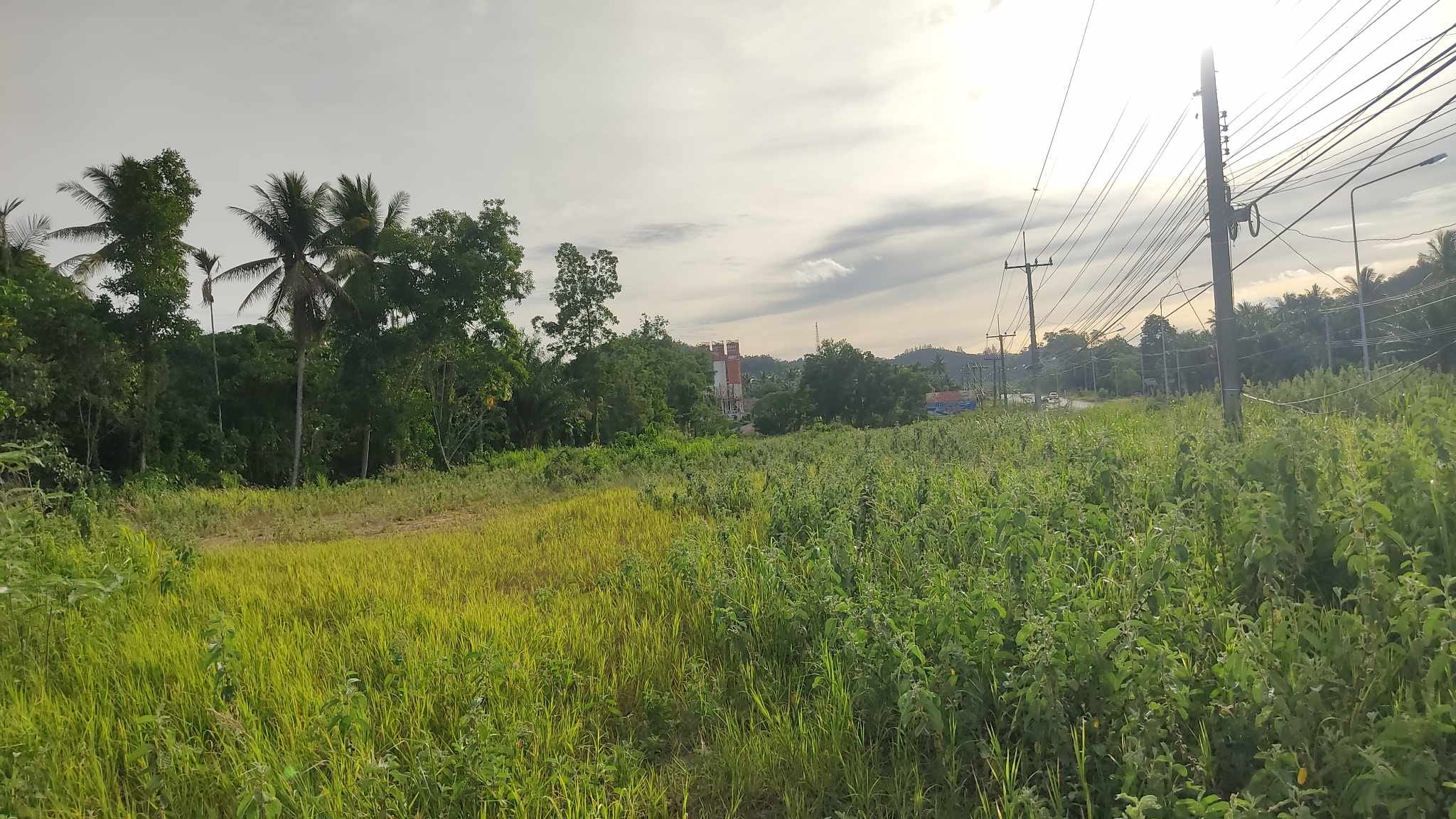 ที่ดินหน้ากว้าง ติดถนน3201 ปะทิว ชุมพร