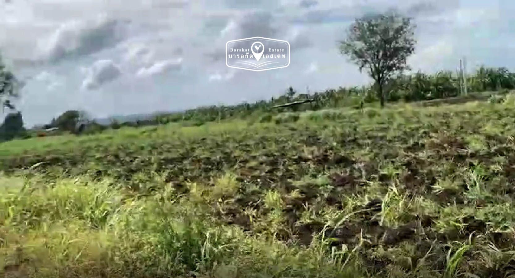  ที่ดินบรรยายกาศแห่งขุนเขา ลมพัดเย็นสบาย ปลูกบ้านสวนไว้พักผ่อนในวัยเกษียณ