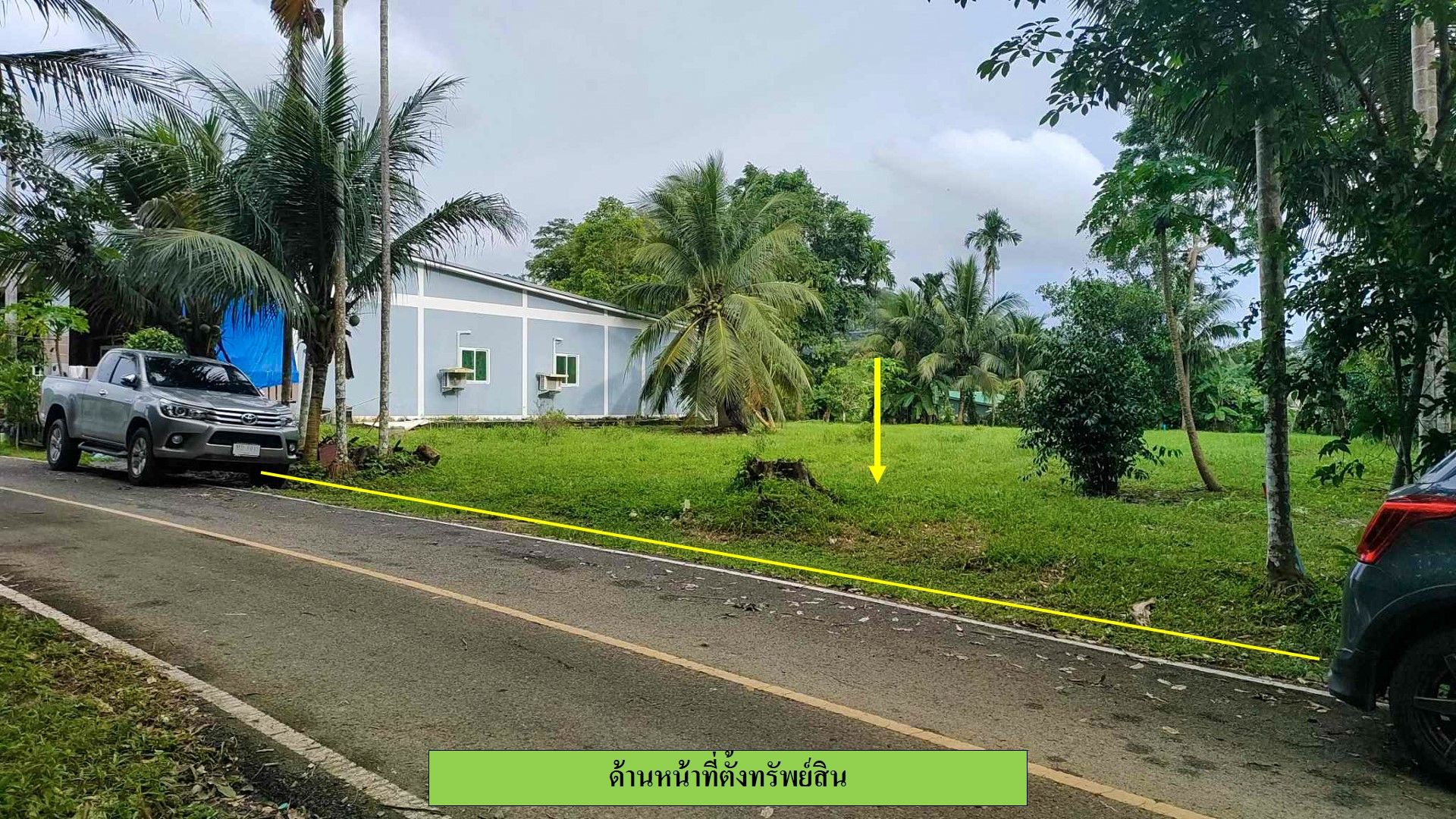 ขายที่ดิน บ้านควน เนื้อที่รวม 1-1-55.5 ไร่ ติดถนนลาดยาง อยู่ในชุมชน ใกล้ รร.นานาชาติ UWC
