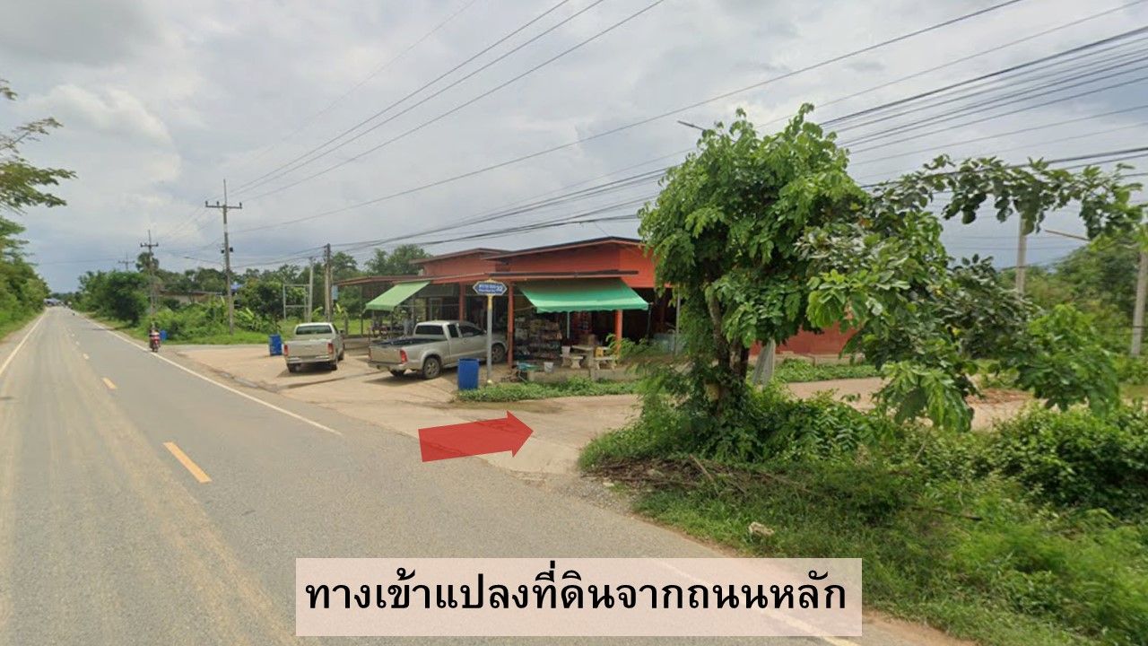 ขายที่ดินเปล่า อ.พนัสนิคม จ.ชลบุรี 1 ไร่ 65 ตร.ว.