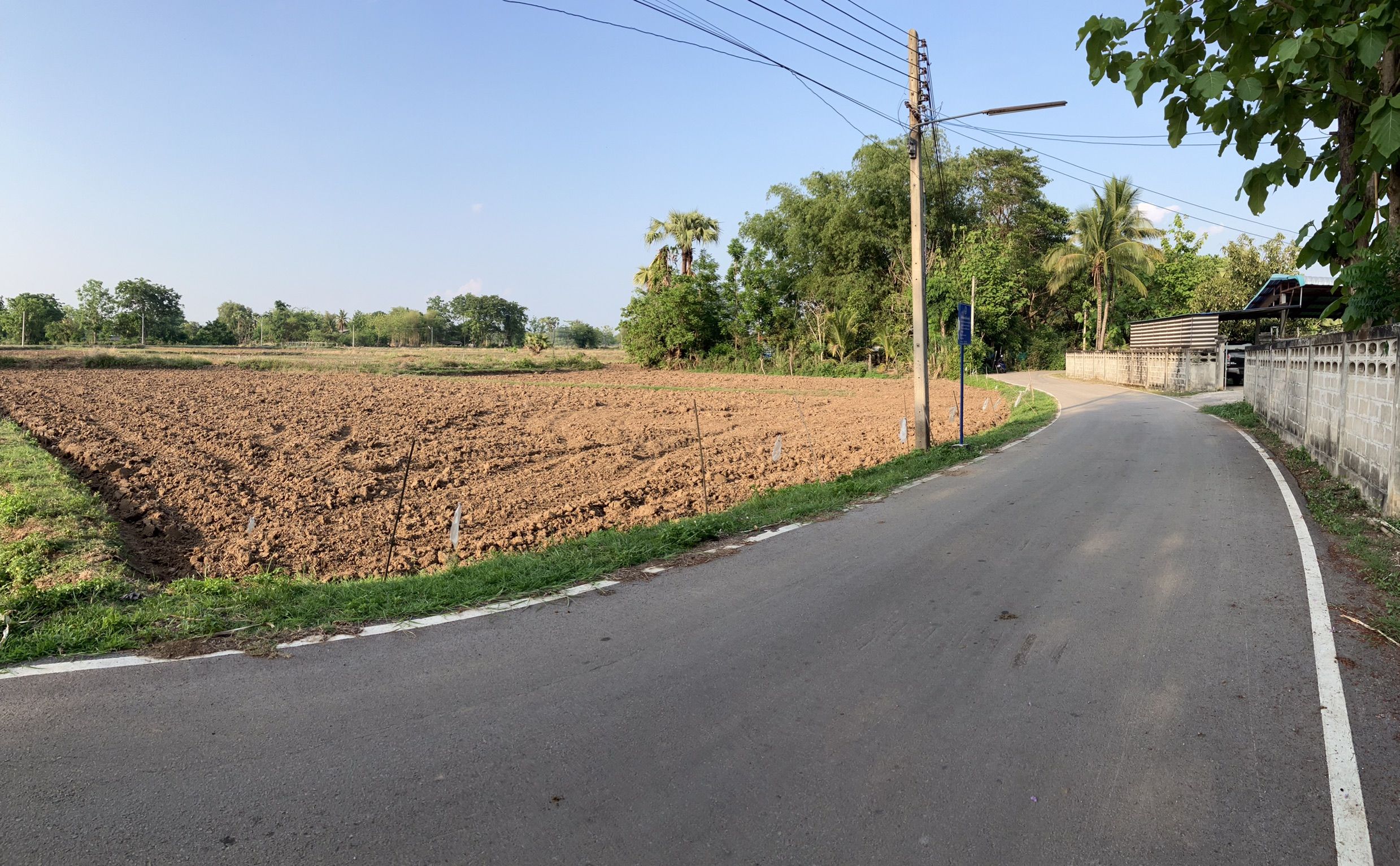 ที่ดิน บ้านดอกสะบันงา 368 ตารางวา ใน ป่าตัน แม่ทะ ลำปาง