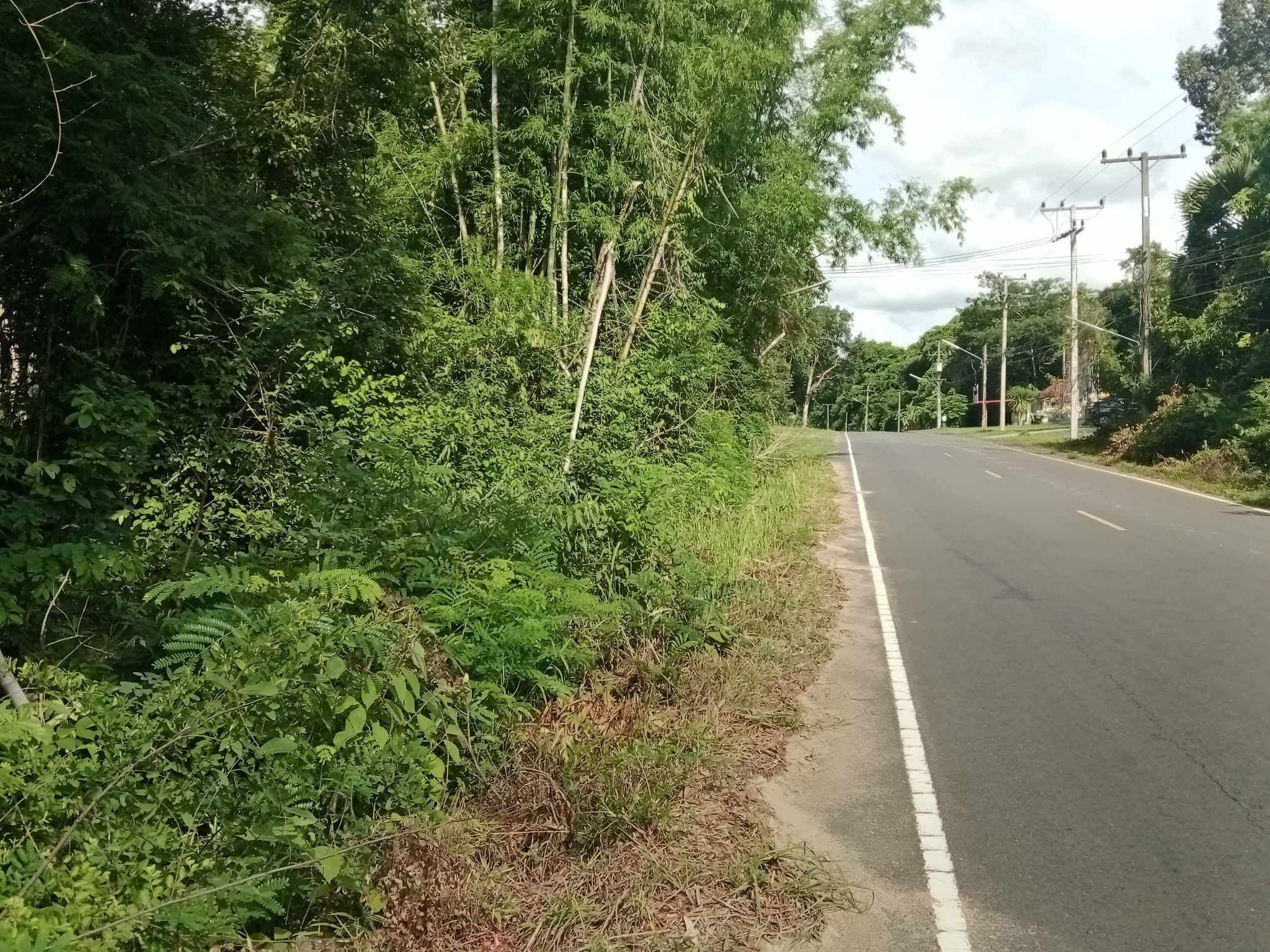 ขายที่ดิน 6 ไร่ 