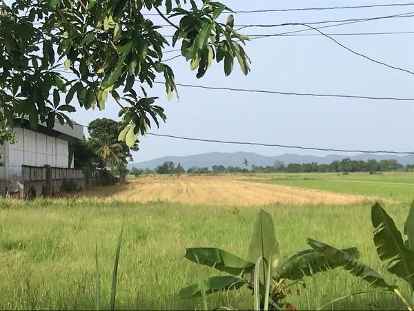 ที่ดิน ตำบลสารจิตร  ศรีสัชนาลัย สุโขทัย 11-3-2