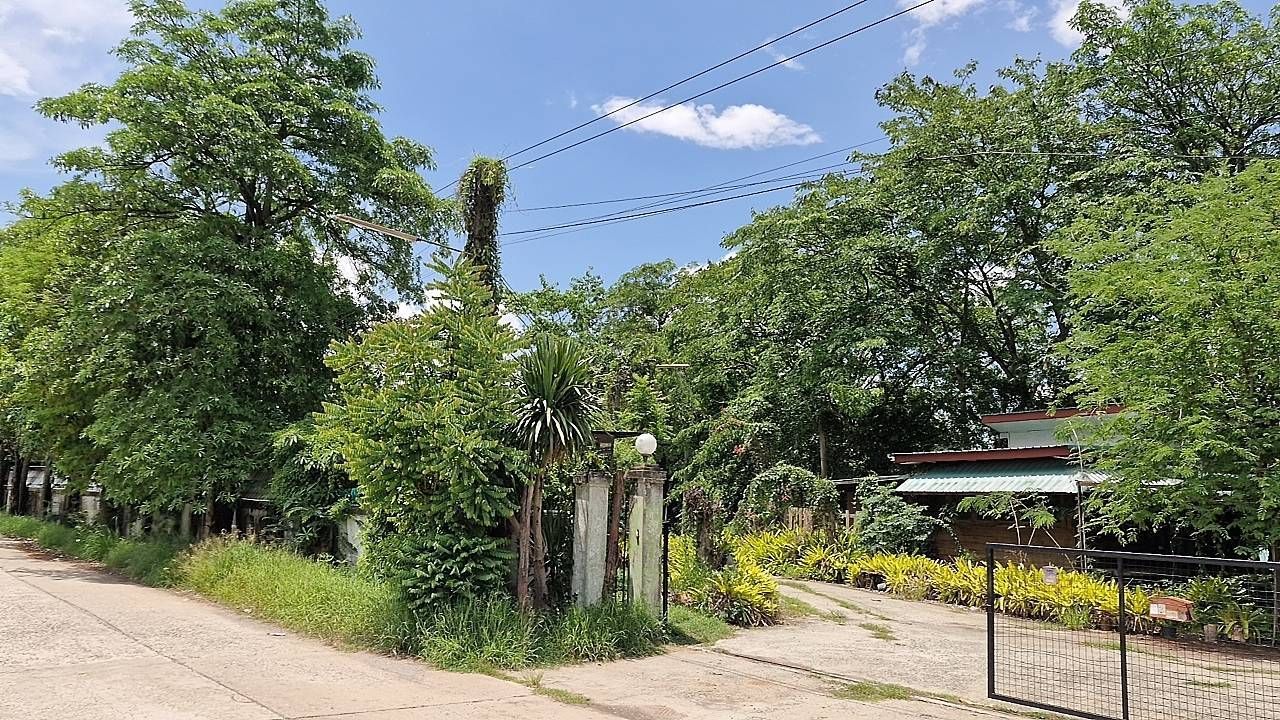 ขายที่ดินขอนแก่น ชุมแพ ที่ดินเปล่า แปลงใหญ่ เหมาะลงทุนมาก
