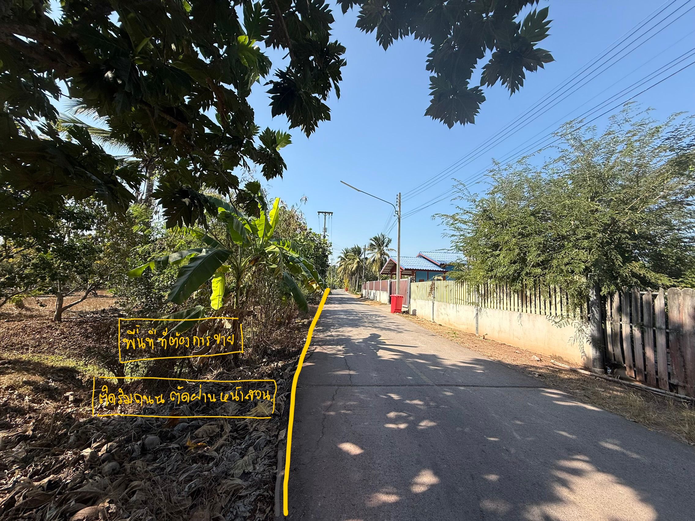 ขายที่ดินสมุทรสงคราม อัมพวา สวนผลไม้