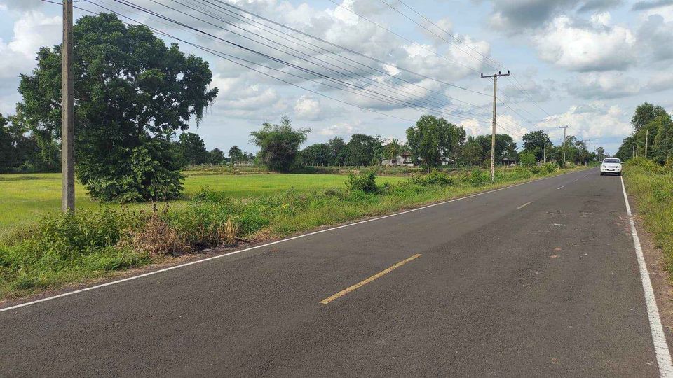 ขายที่ดิน ร้อยเอ็ด 11-2-29.1 ไร่