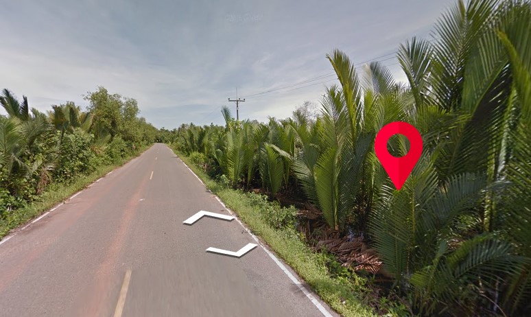 ที่ดินเปล่า เมืองสุราษฎร์ธานี 8-0-88