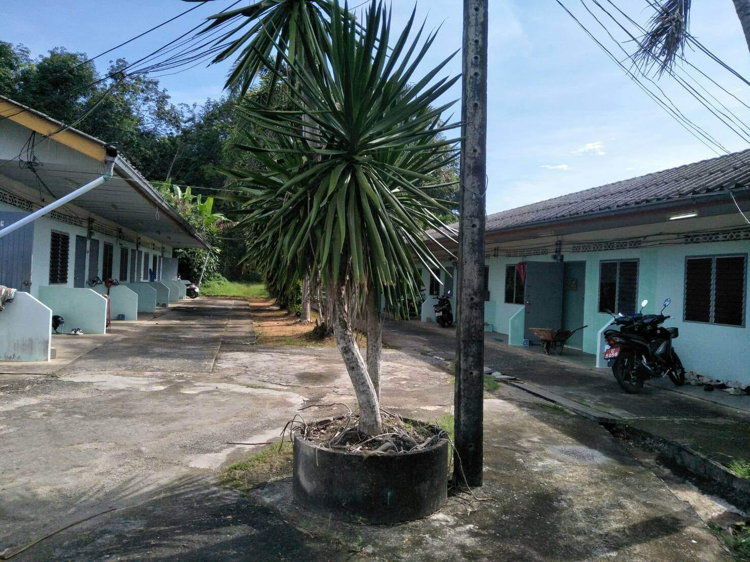 ที่ดินพร้อมห้องพัก เมืองสุราษฎร์ ติดถนนสาธารณะ 