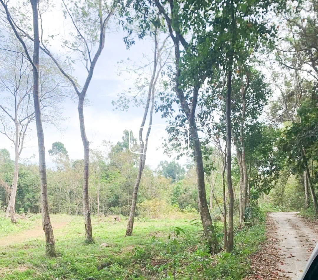 สวยจังหวัดตราด แปลงสวย หน้ากว้าง มีถนนล้อมรอบ