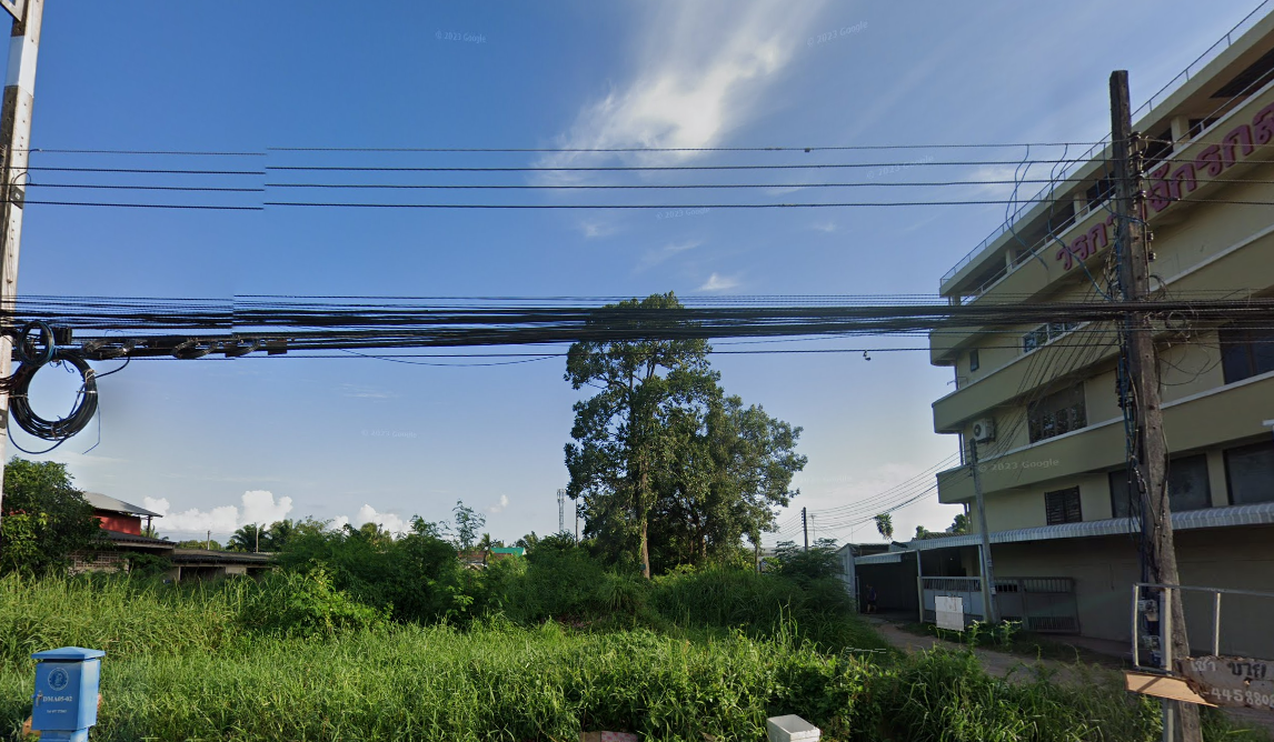 ขายที่ดินทำเลทอง สุราษฎร์ธานี 2-1-64.5 ไร่