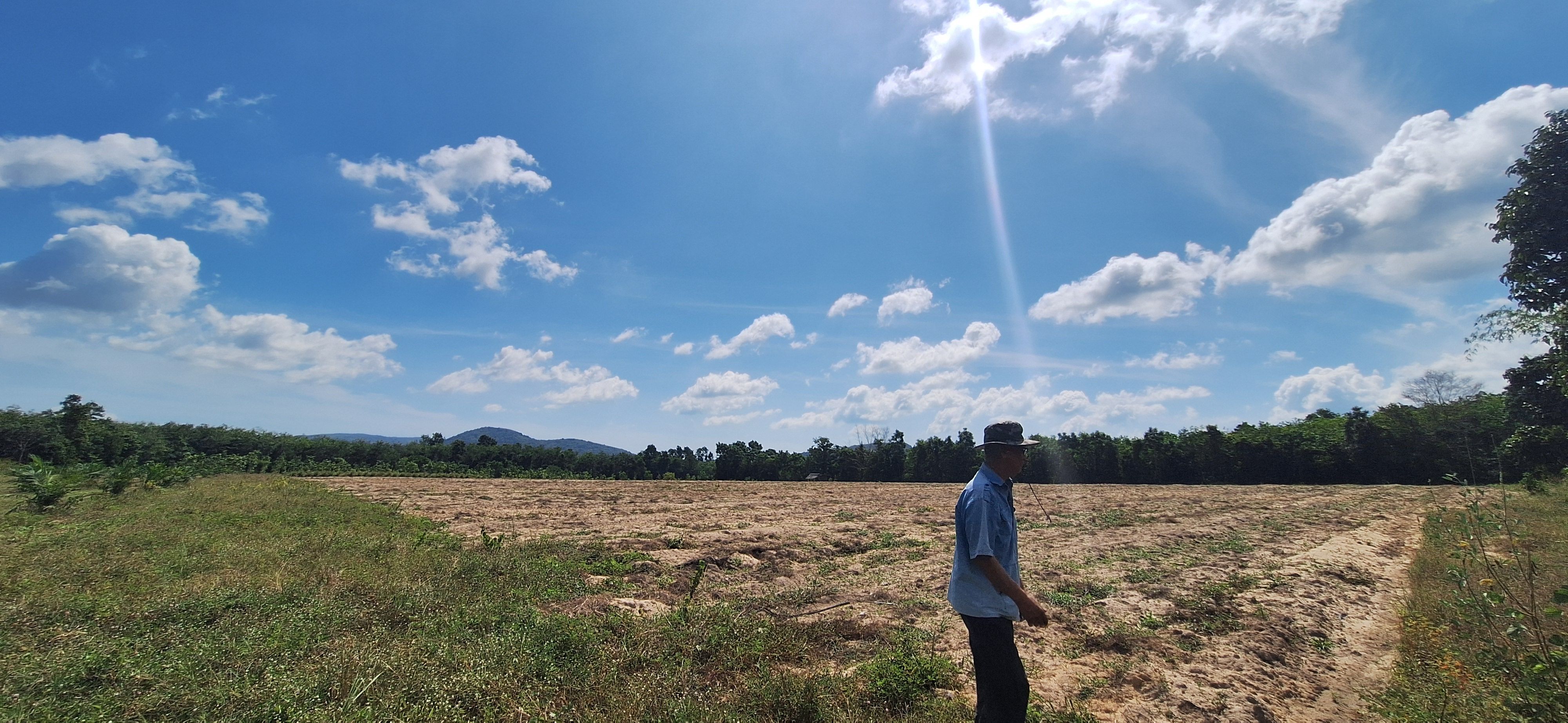 ที่ดินผืนใหญ่ น้ำไม่ท่วม ทำเลทองเห็นวิวเกาะยอ ปรับพื้นที่แล้วเตรียมทำโครงการบ้านจัดสรร