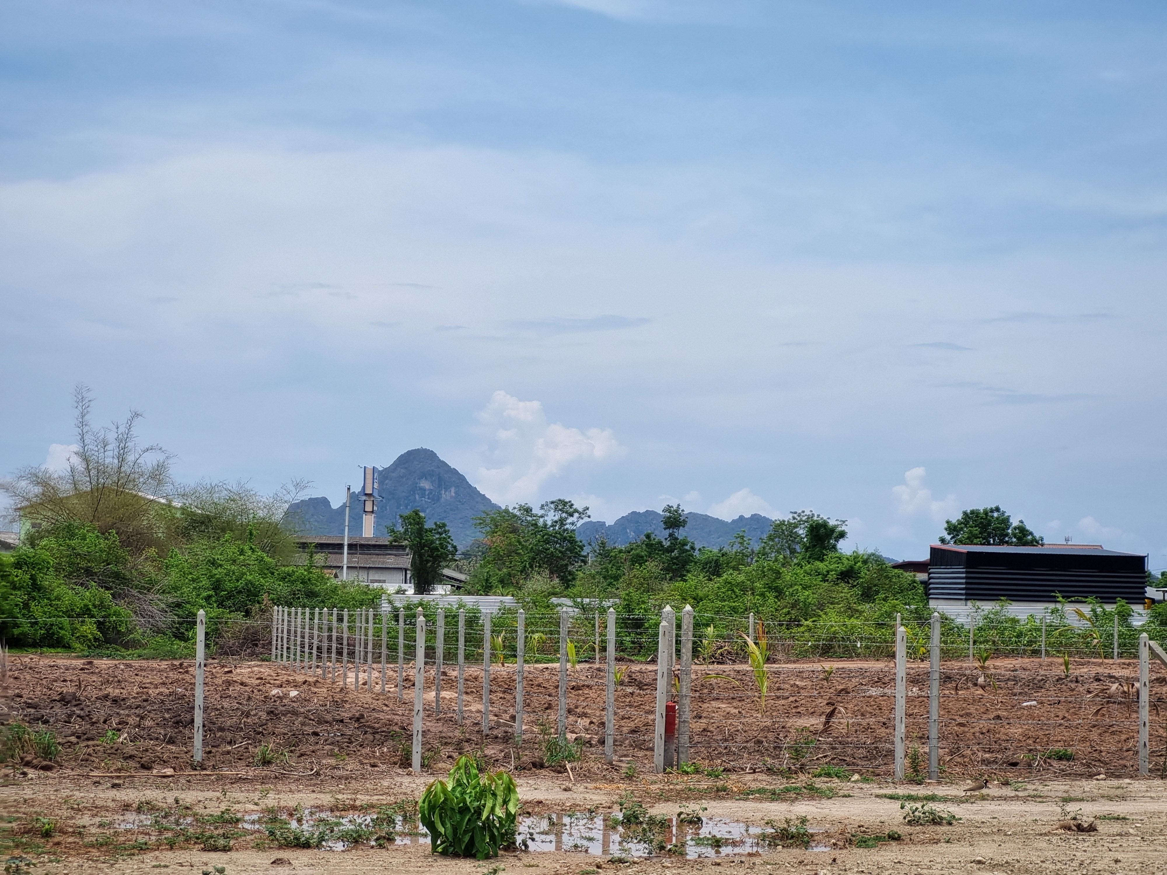 ที่ดินแบ่งขาย เมืองประจวบคีรีขันธ์