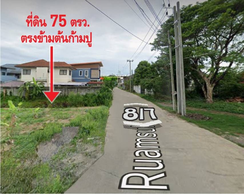 ขายที่ดินปทุมธานี เจ้าของขายเอง ที่ดินโฉนด ขนาด 75 ตร.ว. ซอยร่วมสุข เหมาะปลูกบ้านพักอาศัย เงียบสงบ ใกล้คลองปะปา ใกล้ 7-11 