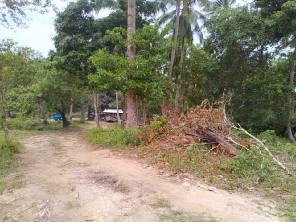 ขายยกทั้งหมด