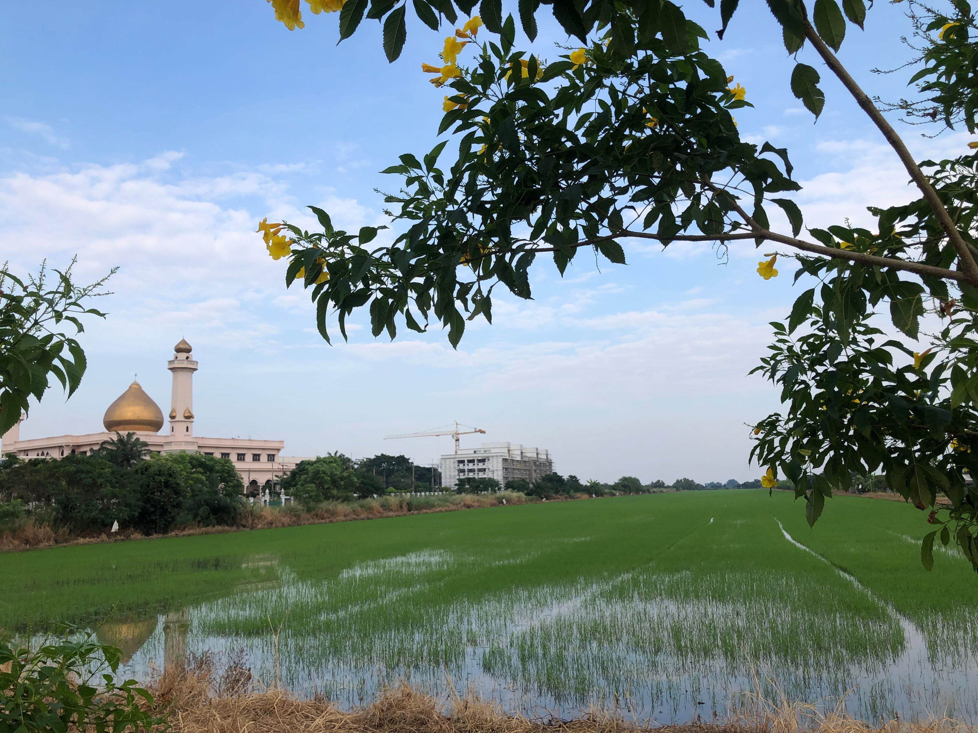 Land for sale