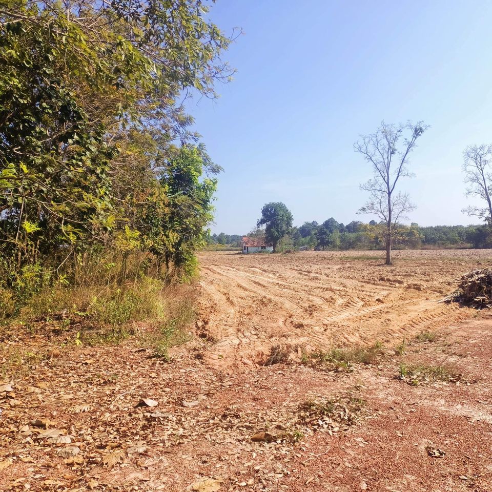 ขายที่ดิน อุดรธานี 32-1-20 ไร่