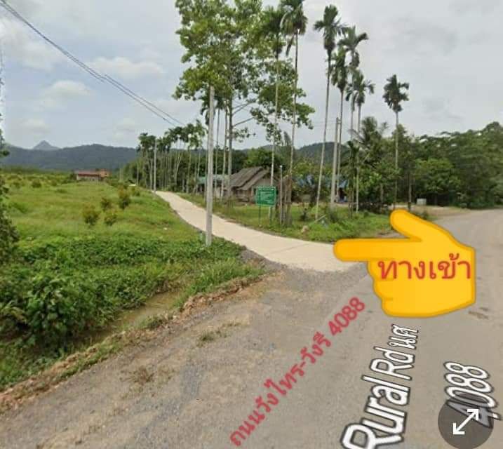 ขายที่ดิน สุราษฎร์ธานี